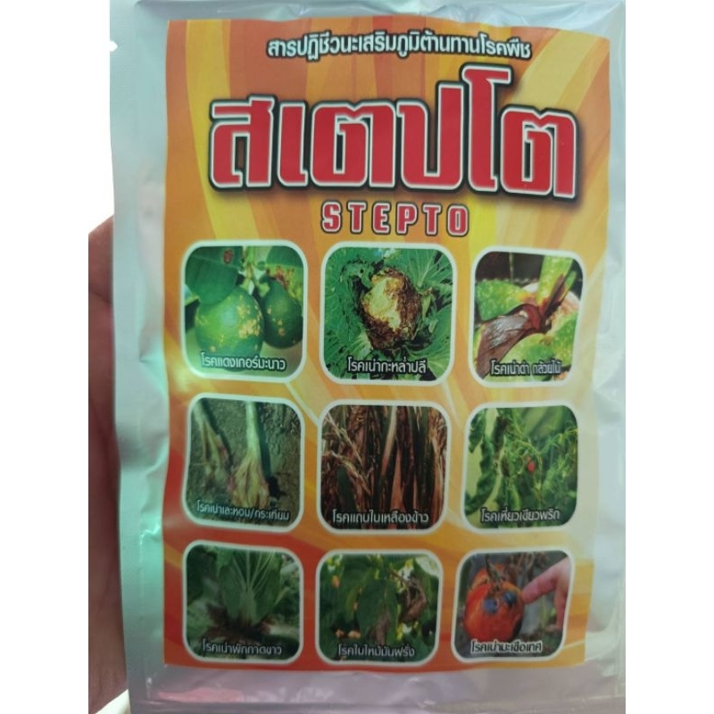 สเตปโต มัยซิน สารป้องกันโรคพืช