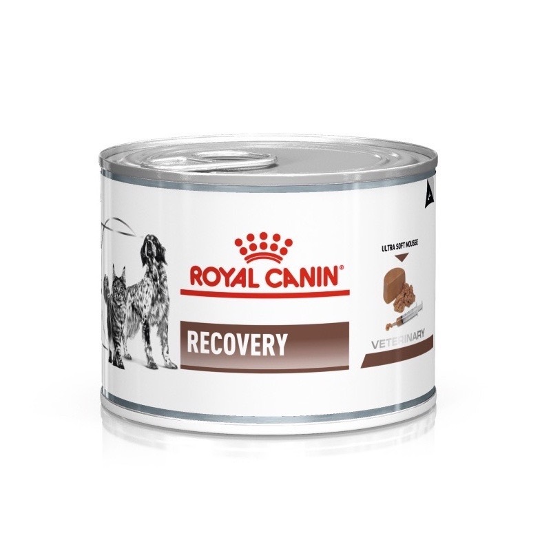 Royal Canin Recovery อาหารกระป๋องสำหรับสัตว์พักฟื้น​ 195​g. 3กระป๋อง/6กระป๋อง/ยกถาด12กระป๋อง