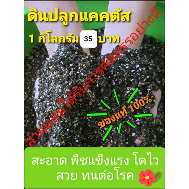 ดินสำหรับปลูกแคคตัส กระบองเพชร (Cactus) ไม้อวบน้ำ (Succulents) 1 กิโลกรัม 35 บาท
