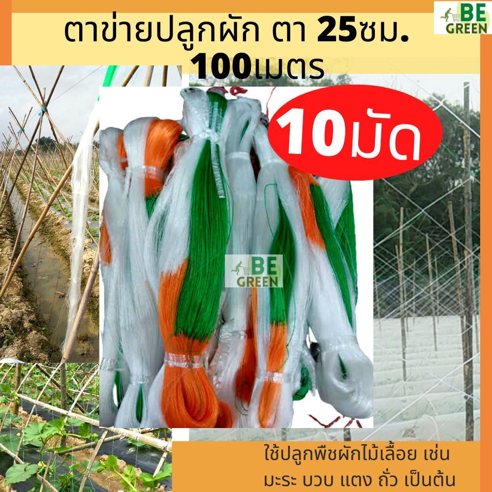 ค้างปลูกผัก ตาข่ายปลูกแตง 10มัด ค้างผัก 1.8x100ม.อวนแตง ค้างแตง  อวนมะระ ปลูกแตงกวา ปลูกผัก ไม้เลื้อย