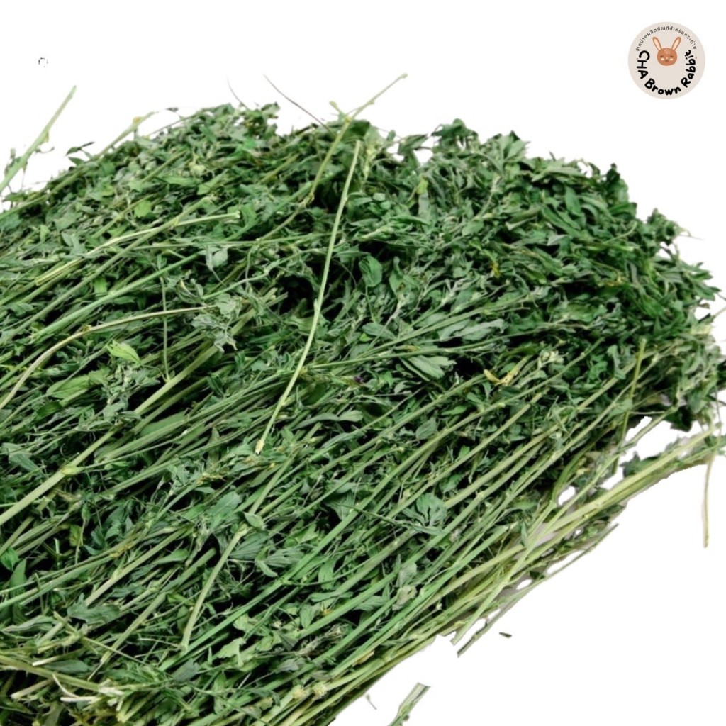 หญ้ากระต่าย หญ้าอัลฟาฟ่าอบลมร้อน Super Premium Alfalfa Grass ขนาด 1Kg.(กล่องน้ำตาล) ใบล้วน - รูปที่ 7
