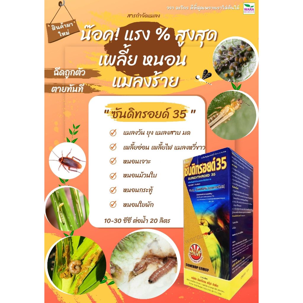 ไซเปอร์35 น็อคแรง หนอน เพลี้ย หนอนม้วนใบข้าว หนอนเจาะฝักข้าวโพด  แมลงหวี่ขาว แมลงในบ้านเรือน มด ปลวก ยุง ซันดิทรอยด์ 35