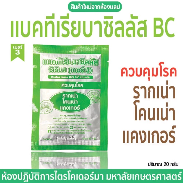 【 พร้อมส่ง 】 แบคทีเรียบาซิลลัสBC(เบอร์3)ควบคุมโรครากเน่า โคนเน่า เเคงเกอร์