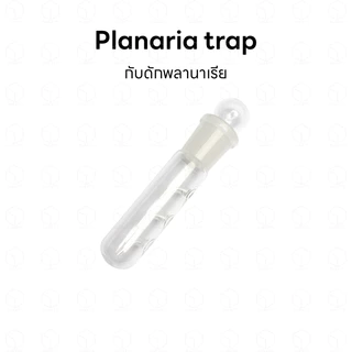 Planaria trap กับดักพลานาเรีย ที่ดักพลานาเรีย สำหรับตู้กุ้ง ตู้ปลา ตู้ไม้น้ำ