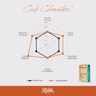 Ratika | เมล็ดกาแฟคั่ว อราบิก้าแท้ 100% (Thai Espresso Roast ) 500 g : HillKoff Arabica Coffee