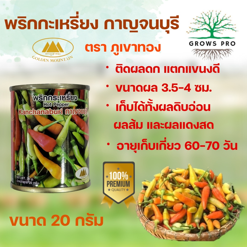 GrowsPro เมล็ดพริกส้ม พริกกระเหรี่ยง กาญจนบุรี 20 กรัม ตราภูเขาทอง รสเผ็ด กลี่นหอม แตกแขนงดี