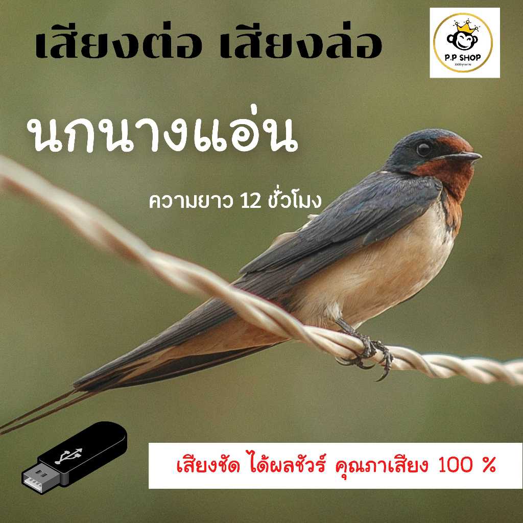 MP3 เสียงเรียกนกนางแอ่น 12 ชม. (แผ่น CD , USB แฟลชไดร์ฟเพลง)