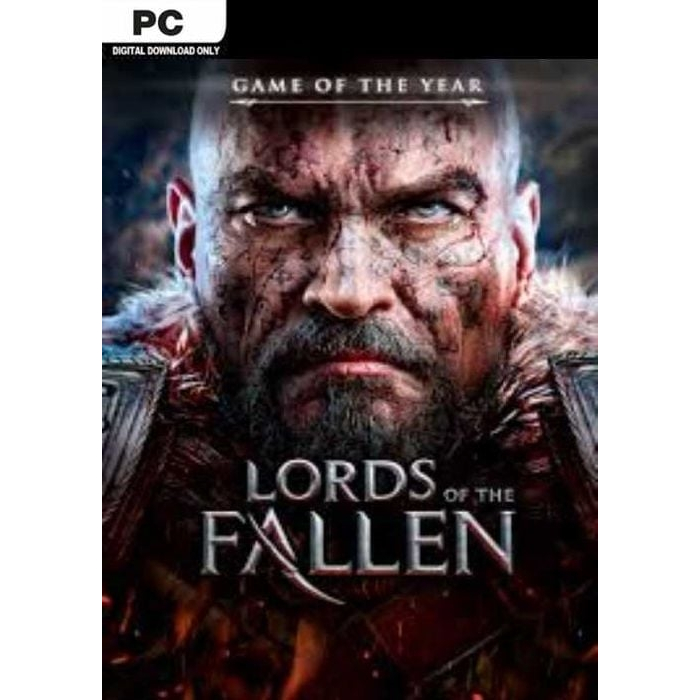 เกมส์พีซี Lords of The Fallen (No Steam)