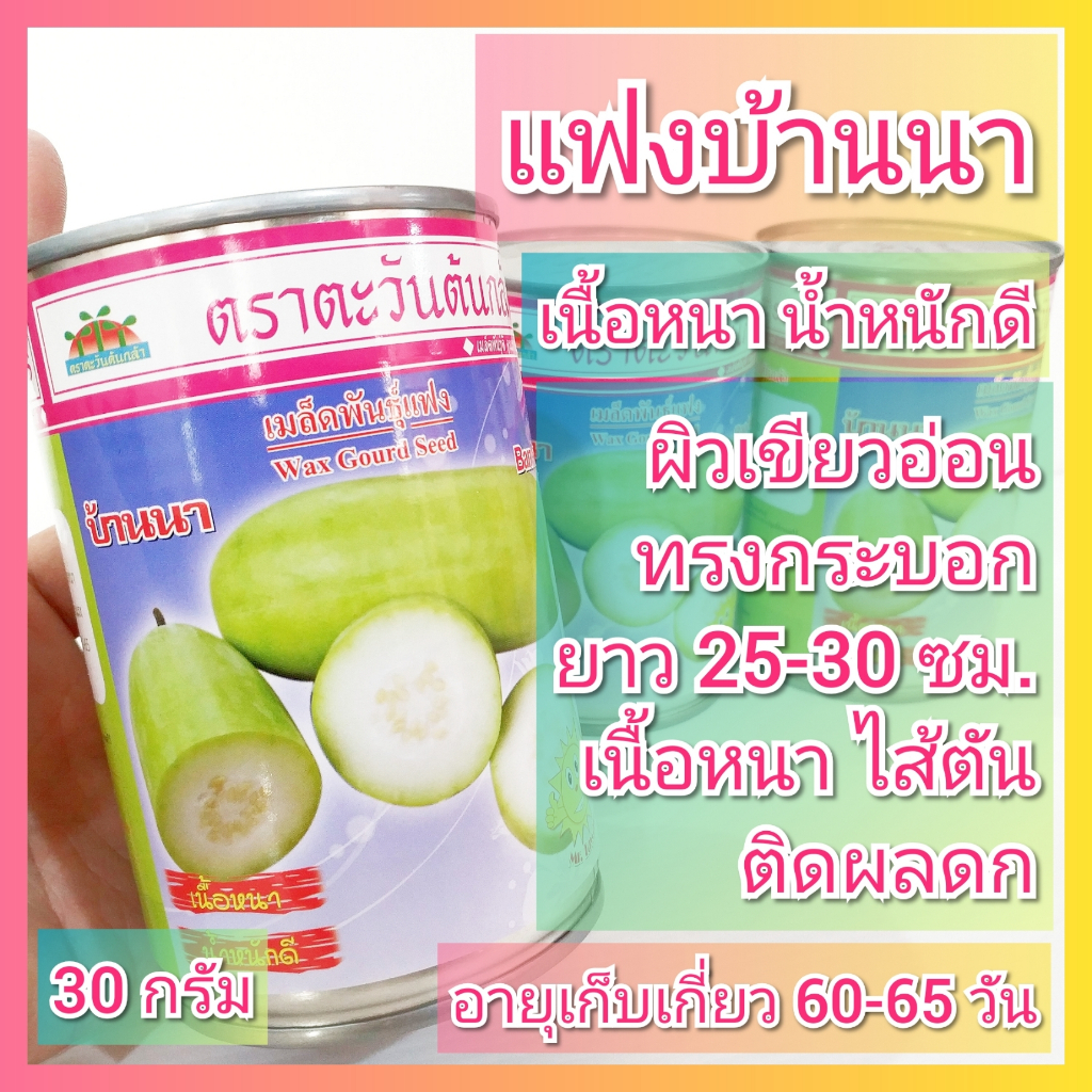 เมล็ดพันธุ์แฟงไส้ตัน บ้านนา ตราตะวันต้นกล้า บรรจุ 30 กรัม เมล็ดแฟง แฟงบ้านนา เม็ดแฟง แฟงไส้ตัน