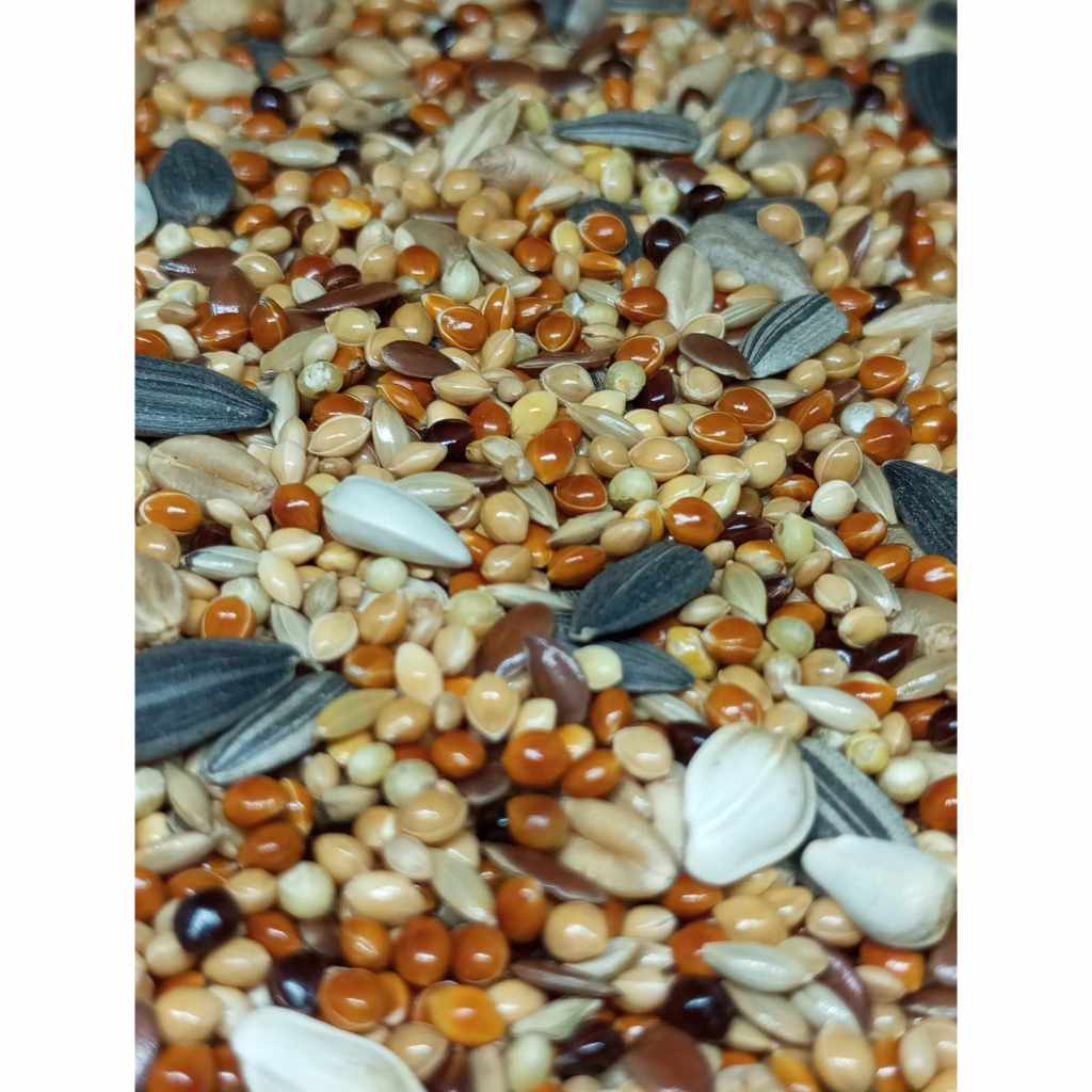 อาหารนก เมล็ดธัญพืชนก 13 อย่าง พาราคีท ครึ่งก.ก.(500กรัม) เพียง 35 บาท นกแก้ว นกปากขอ หงส์หยก ฟอพัส เลิฟเบิร์ด ค็อกคาเท