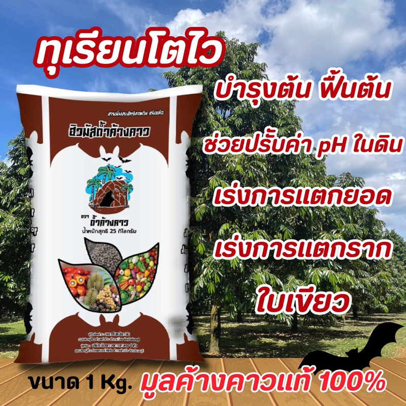 ปุ๋ย ฮิวมัสถ้ำค้าว ปุ๋ยทุเรียน ทุเรียนเล็ก ฟื้นต้นโทรม บำรุงต้น กระตุ้นการแตกยอด แตกรากใหม่ (1กิโล)