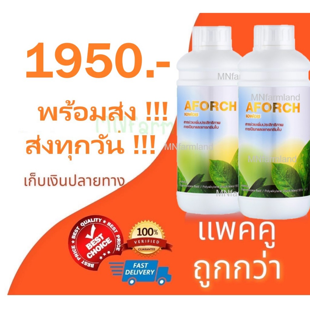 เอฟอช เอฟอส ราคาแพคคู่ 1ลิตร 2ขวด ถูกลงกว่าเดิม สารจับใบ สารนำพา สารเร่ง ยาฉีด