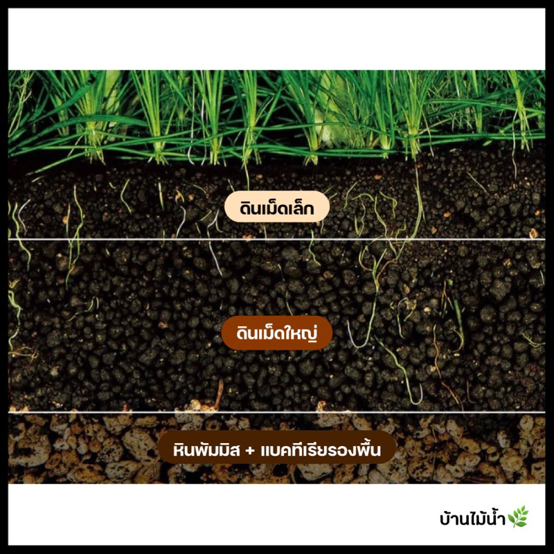 แบ่งขายดิน ADA ของแท้!! 0.3 0.5 0.7 1 ลิตร ดินปลูกไม้น้ำ ดินไม้น้ำ ปุ๋ยเสริม แบรนด์แท้จากญี่ปุ่น | บ้านไม้น้ำ🌿 - รูปที่ 3