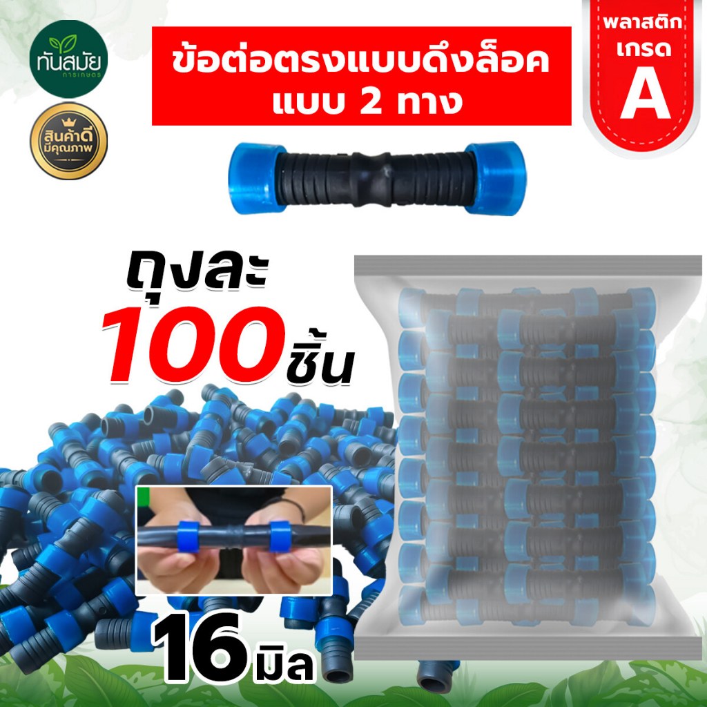 รูปภาพ 4