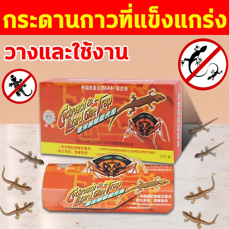 หนีไม่ได้ถ้าติดอยู่ บ้านจิ้งจก กับดักจิ้งจก กล่องดักจิ้งจก กาวดักจิ้งจก กาวที่แข็งแกร่ง ติดแน่น ไม่มีสารเคมี ไร้กังวล