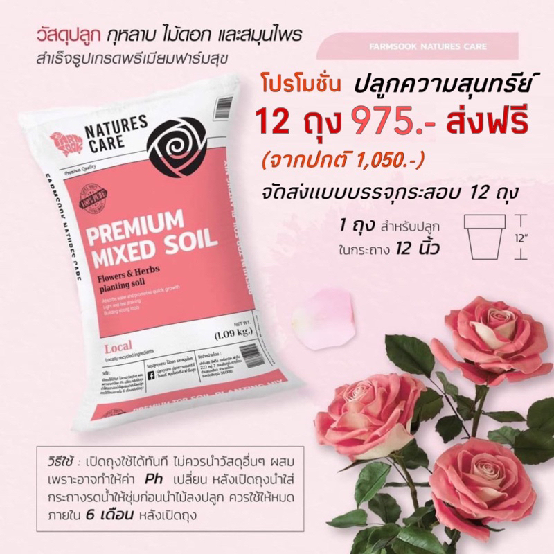 ส่งฟรี‼️( กำหนดสั่งซื้อ 1 ชุด/1 คำสั่งซื้อไม่รวมกับสินค้าอื่นๆ ) วัสดุปลูกกุหลาบสำเร็จรูป ชุด 12 ถุง