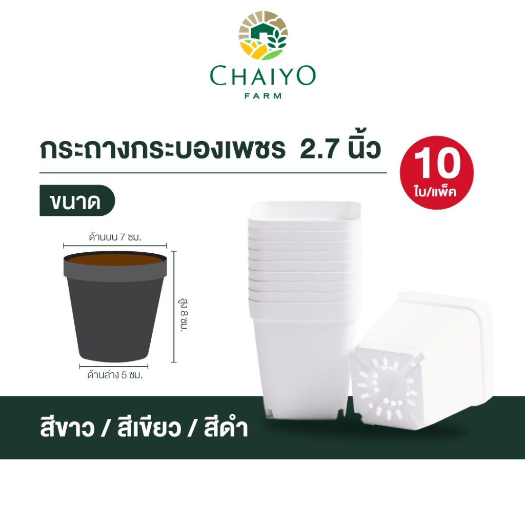 กระถางกระบองเพชร 10 กระถาง (Succulent pot) 10 pcs ขนาด 2.7 นิ้ว