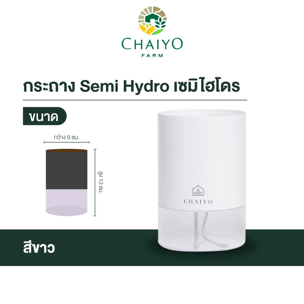 กระถาง Semi Hydro เซมิไฮโดร ไม่ต้องรดน้ำ