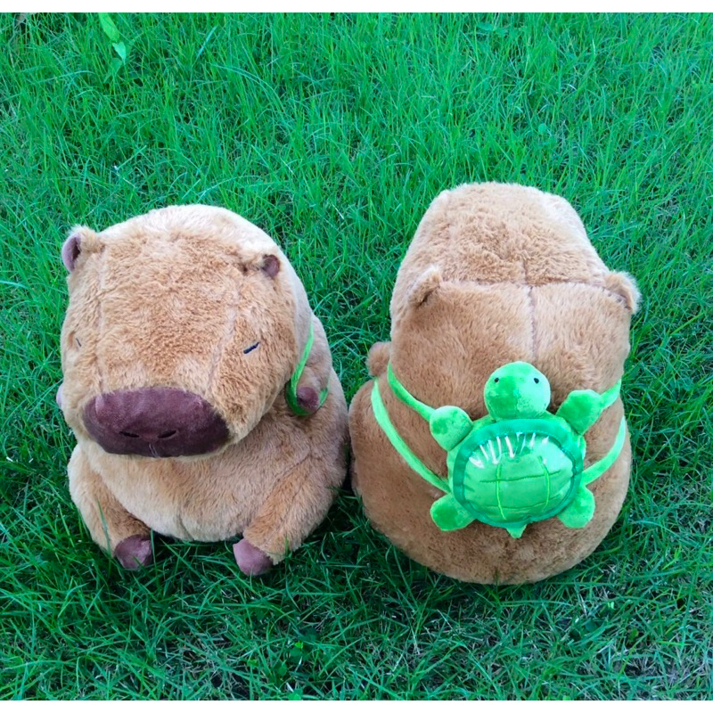 capybara ตุ๊กตา ถูกที่สุด พร้อมโปรโมชั่น ม.ค. 2025|BigGoเช็คราคาง่ายๆ
