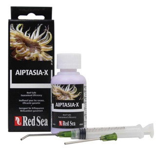 Red Sea Aiptasia-X ผลิตภัณฑ์กำจัดอิปทาเซีย สำหรับตุ้ปลาทะเล …