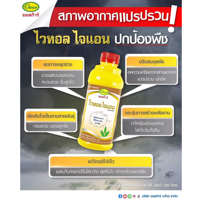 ไวทอลไจแอน ขนาด 1ลิตร ธาตุอาหารเสริม สาร โพลีฟีนอล ซอลท์มิน ฟื้นต้นโทรม