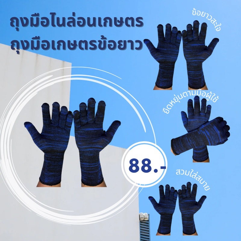 ถุงมือไนล่อนลาย ข้อยาว(109.-/12คู่) ส่งแบบคละสี.