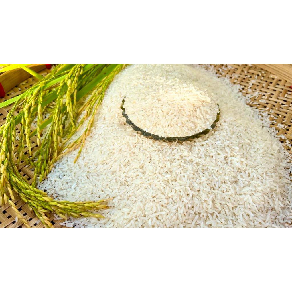 ข้าวหอมมะลิ105 ข้าวหอมมะลิแท้ 100%