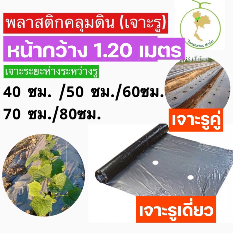 พลาสติกคลุมดินพลาสติกเงินดำพลาสติกคลุมแปลง หน้ากว้าง1.20mยาว400หลา(360เมตร) เจาะรูเดี่ยว/รูคู่/ รูสลับฟันปลา