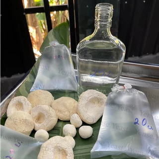 หม้อกลั่น DIY ฟู้ดเกรด อเนกประสงค์ | กลั่นสุรา น้ำมันหอมระเหย สมุนไพร Hydrosol