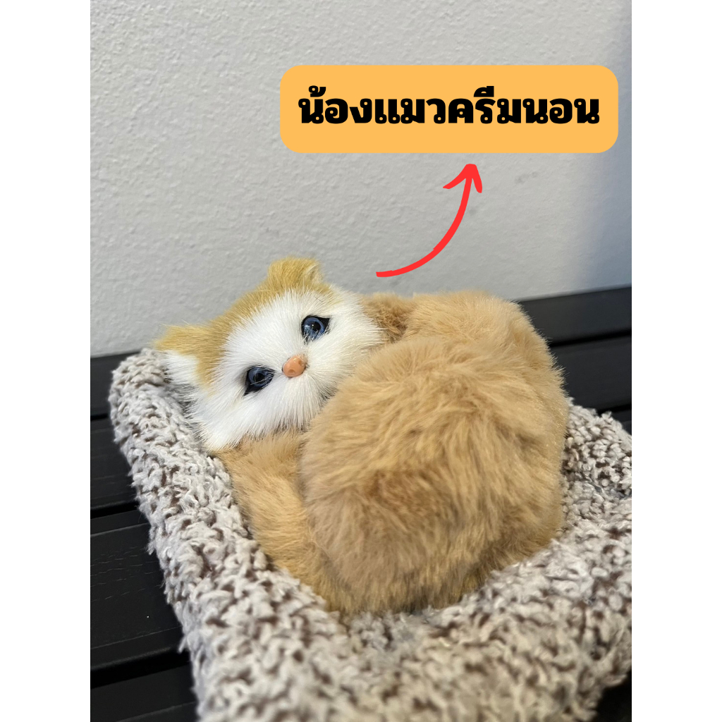 ตุ๊กตาดับกลิ่น น้องแมวนอน รุ่นมีเสียง มีหลายแบบให้เลือก ดับกลิ่นในรถ ดูดกลิ่น ตุ๊กตาแมว - รูปที่ 2