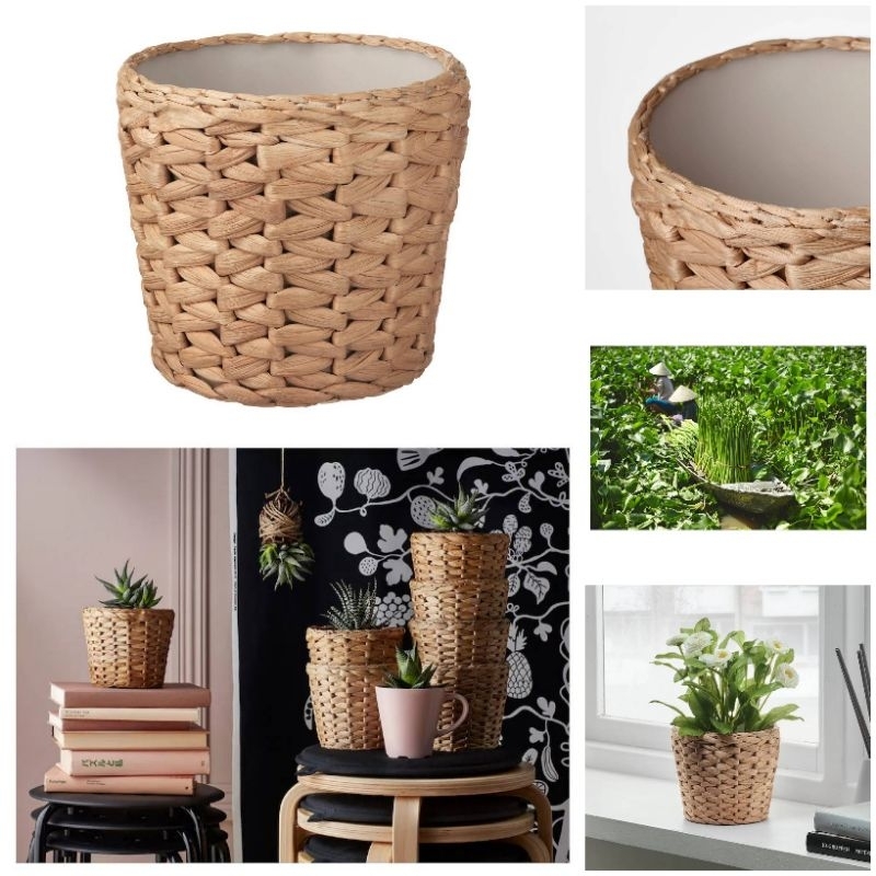 IKEA แท้ค่ะ FRIDFULL ฟรีดฟุล กระถางต้นไม้, ผักตบชวา, 12 ซม.