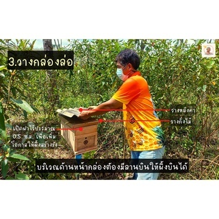 ขาตั้งกล่องรังผึ้งพร้อมกรวย(ใช้วางกล่องรังผึ้ง) - รูปที่ 5