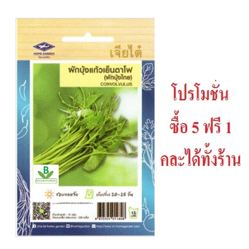 เมล็ดพันธุ์ ผักบุ้งแก้วเย็นตาโฟ เจียไต๋ จำนวน 230 เมล็ดโดยประมาณ เมล็ดผัก เมล็ดพืช เมล็ดพันธุ์พืช