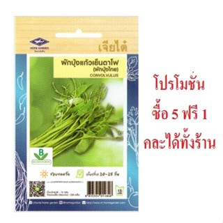 เมล็ดพันธุ์  ผักบุ้งแก้วเย็นตาโฟ เจียไต๋ จำนวน 230 เมล็ดโดยป…