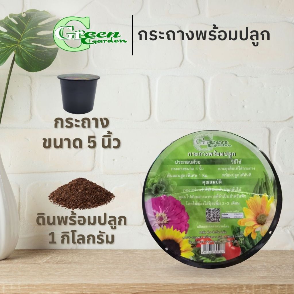 กระถางดินพร้อมปลูก Green Garden