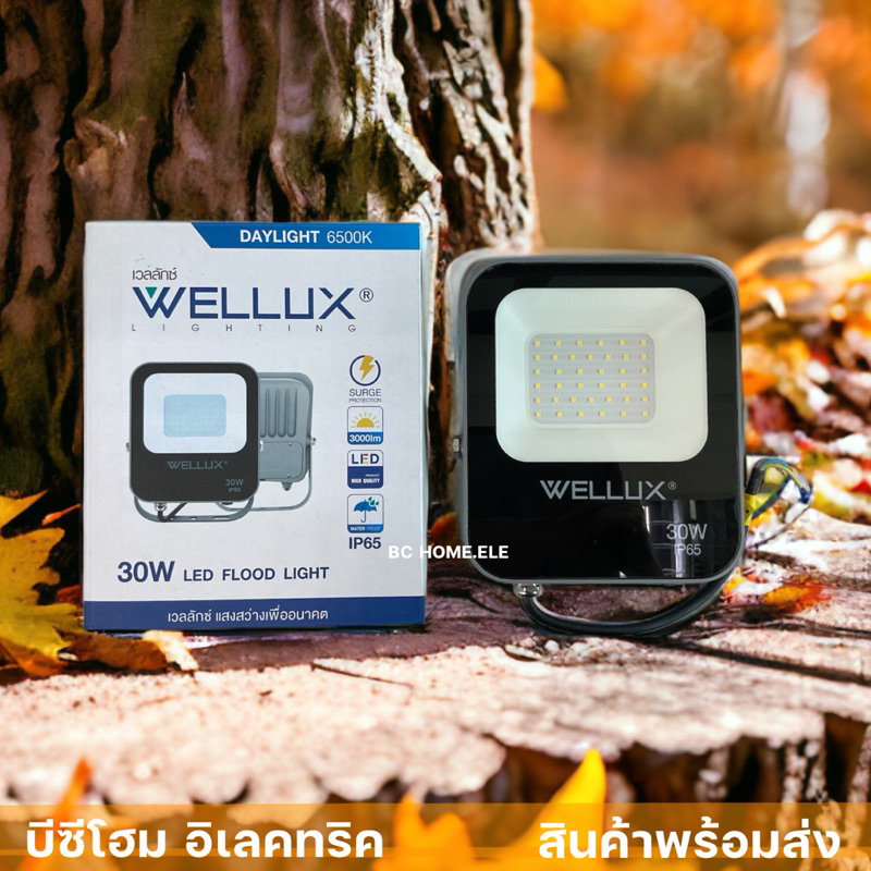 โคมสปอร์ตไลท์ 30 W มอก. กันไฟกระชาก กันน้ำ