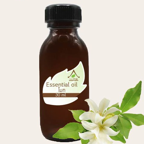 น้ำมันหอมระเหย กลิ่นดอกโมก ขนาด 30 มล. (Essential oil Wild Water Plum Sent Size 30ml.)