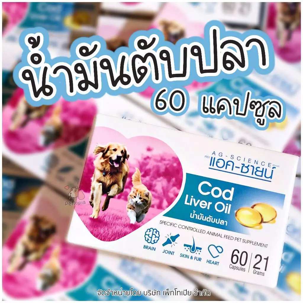 น้ำมันตับปลา Cod Liver Oil ตราแอคซายน์ บำรุงข้อต่อ สมอง ผิวหนังและขน หัวใจ