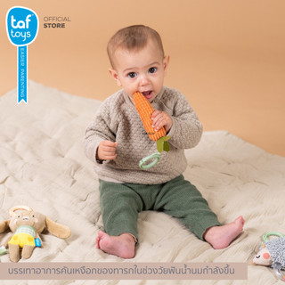 Taf Toys ชุดโมบายเด็ก Activity Toys Kit โมบายเด็ก ของเล่นเสริมพัฒนาการ 0 เดือน ขึ้นไป รูปที่ 5