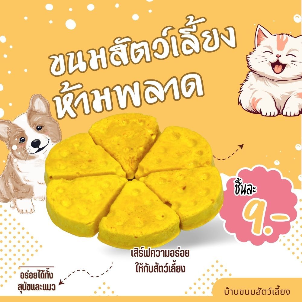 ชีสก้อน สำหรับสุนัขและแมว ขนมสุขภาพ