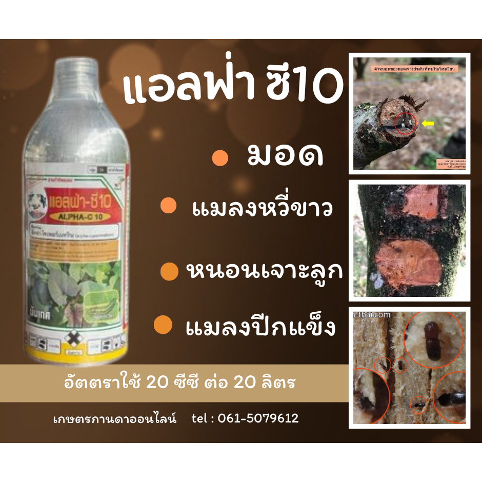 แอลฟ่า-ซี10 (ขนาด 1 ลิตร) มอด แมลงปีกแข็ง แมลงวันทอง เพลี้ยต่างๆ