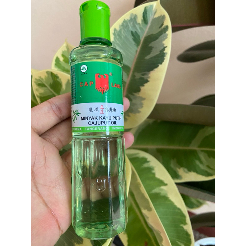 Minyak kayu puteh cap lang น้ำมันยูคาลิปตัส ขนาด 120ml