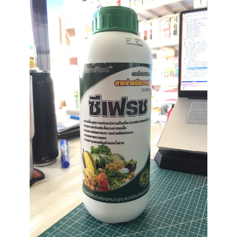 ซีเฟรซ (สาหร่ายเขียว+อะมิโน)