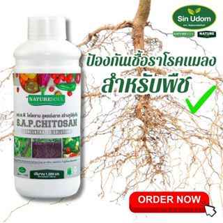 ไคโตซานบริสุทธิ์เข้มข้น สูตรเร่งราก สร้างภูมิคุ้มกัน ป้องกัน…