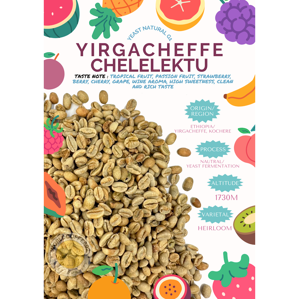 พร้อมส่ง เมล็ดกาแฟดิบ Yirgacheffe chelelektu G1 Yeast Natural process/ เมล็ดกาแฟนอก/ เมล็ดกาแฟสารเอธิโอเบีย