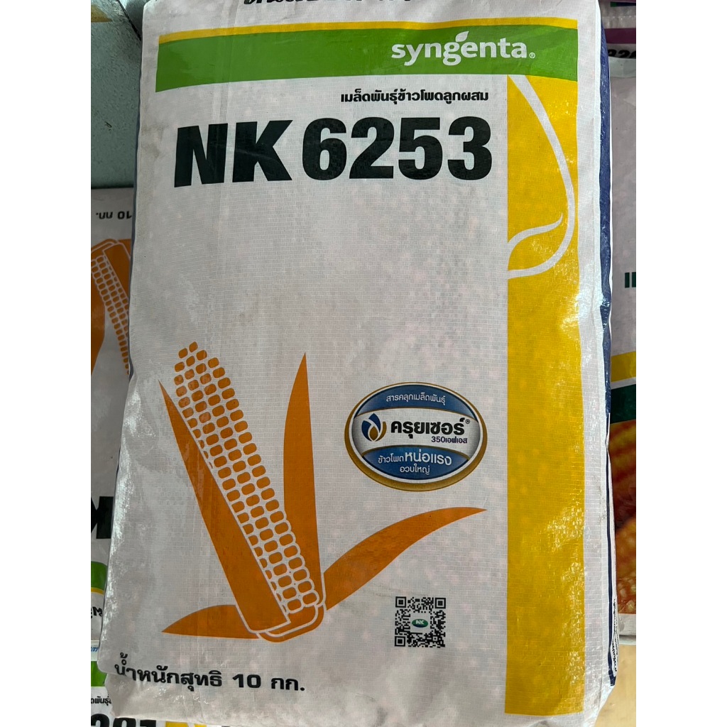 เมล็ดพันธุ์ข้าวโพด NK 6253 เมล็ดกลาง