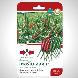 พริกขี้หนู เทอร์โบฮอท 150เมล็ด ศรแดง