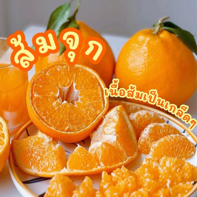 พร้อมส่ง‼️(1KG)????ส้มจุกสด ส้มเดโกปอง หวานหอมเนื้อส้มเป็นเกล็ดๆอร่อยมาก