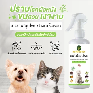สเปรย์สมุนไพร จัดการเห็บหมัด Ticks Fleas ขี้เรื้อนสุนัข แมว เชื้อรา ขนร่วง คันเกา ยีสต์ (มี อย ถูกต้อง) หมอไทยทำเอง