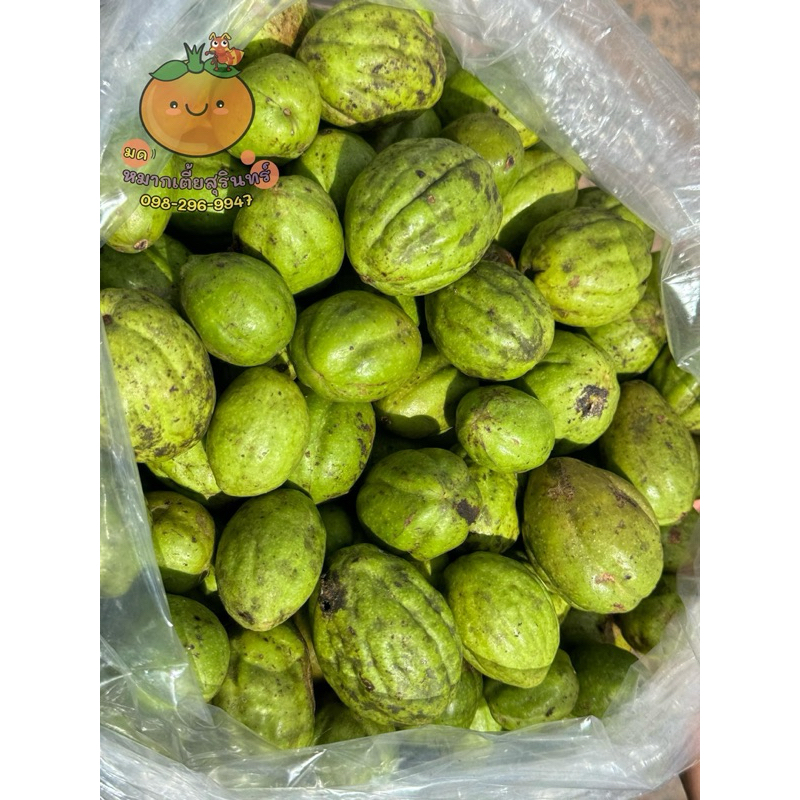 สมอ เก็บสดใหม่ 1กก150